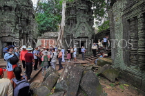 CAMBODIA, Siem Reap, Ta Prohm Temple, tourists at temple site, CAM1419JPL
