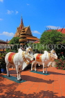 CAMBODIA, Siem Reap, Wat Preah Prom Rath, temple site, white Oxen sculptures, CAM2197JPL