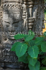 CAMBODIA, Siem Reap, stone sculpture, and sacred Bodhi tree plant, CAM2328JPL
