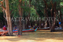 CAMBODIA, Tonle Sap Lake, Kampong Phluk Fishing Village, mangrove forest, tour boats, CAM1380JPL