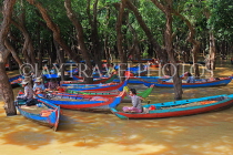 CAMBODIA, Tonle Sap Lake, Kampong Phluk Fishing Village, mangrove forest, tour boats, CAM1382JPL
