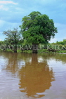 CAMBODIA, Tonle Sap Lake, scenery, tree surrounded by water, CAM925JPL