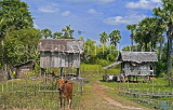 CAMBODIA, rural scene, huts on stilts, CAM89JPL