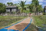 CAMBODIA, rural scene, village huts and harvested rice drying in the sun, CAM91JPL