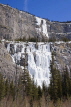 CANADA, Alberta, Jasper National Park, frozen waterfalls Weeping wall, Icefield Parkway, CAN742JPL