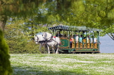 CANADA, British Columbia, VANCOUVER, Stanley Park, tourists going by horse carriage, CAN890JPL