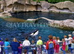 CANADA, British Columbia, VANCOUVER, Vancouver Aquarium, children watching Killer Whale, CAN622JPL