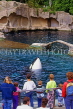 CANADA, British Columbia, VANCOUVER, Vancouver Aquarium, children watching Killer Whale, CAN950JPL