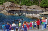 CANADA, British Columbia, VANCOUVER, Vancouver Aquarium, children watching Killer Whale, CAN956JPL