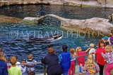 CANADA, British Columbia, VANCOUVER, Vancouver Aquarium, people watching Killer Whale, CAN922JPL