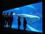 CANADA, British Columbia, VANOUVER, Vancouver Aquarium, Beluga Whales and people, CAN123JPL