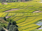 CHINA, Yunnan Province, Lijiang, rice (paddy) fields, CH1600JPL