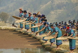 CHINA, Yunnan Province, Yuanyang, Long Table Festival, Hani (Akha) women sifting rice, CH1639JPL