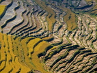 CHINA, Yunnan Province, Yuanyang, autumn rice terraces, CH1471JPL