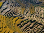 CHINA, Yunnan Province, Yuanyang, autumn rice terraces, CH1472JPL3