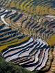CHINA, Yunnan Province, Yuanyang, autumn rice terraces, CH1472JPL4