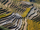 CHINA, Yunnan Province, Yuanyang, rice terraces, autumn, CH1523JPL