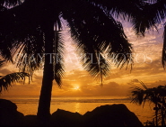 COOK ISLANDS, Rarotonga, coast and sunset, coconut tree, CI681JPL