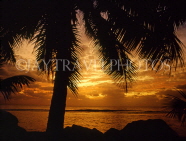 COOK ISLANDS, Rarotonga, coast and sunset, coconut tree, CI682JPL