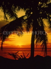 COOK ISLANDS, Rarotonga, coast and sunset, coconut tree, CI684JPL