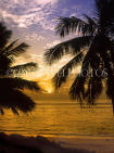 COOK ISLANDS, Rarotonga, coast and sunset, coconut trees, CI677JPL