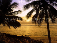 COOK ISLANDS, Rarotonga, coast and sunset, coconut trees, CI679JPL