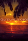 COOK ISLANDS, Rarotonga, coast and sunset through, coconut tree branches, CI930JPL