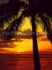 COOK ISLANDS, Rarotonga, coast and sunset through coconut tree, CI685JPL
