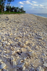 COOK ISLANDS, Rarotonga, coral sand and stone beach, CI951JPL
