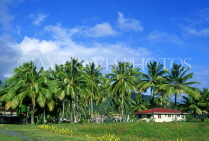 COOK ISLANDS, Rarotonga, country house and coconut trees, CI826JPL