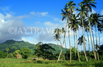 COOK ISLANDS, Rarotonga, countryside scenery, hills and coconut trees, CI183JPL