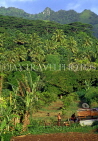 COOK ISLANDS, Rarotonga, countryside view, CI828JPL