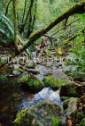 COOK ISLANDS, Rarotonga, tourists on cross island trek, nature walk, CI699JPL