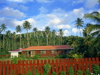 COOK ISLANDS, Rarotonga, typical house and coconut plantation, CI710JPL