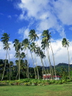 COOK ISLANDS, Rarotonga, typical house and coconut tree plantation, CI706JPL