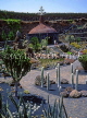 Canary Isles, LANZAROTE, Jardin de Cactus (Cactus Gardens), SPN1297JPL