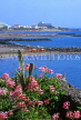 Canary Isles, TENERIFE, Playa de Las Americas, coast, SPN1317JPL