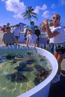 Cayman Islands, GRAND CAYMAN, Cayman Turtle Farm, tourist holding turtle, CAY52JPL