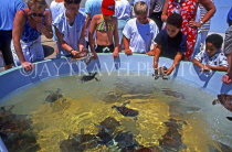 Cayman Islands, GRAND CAYMAN, tourists at Cayman Turtle Farm, CAY213JPL