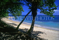 DOMINICAN REPUBLIC, North Coast, beach at Puerto Plata area, Playa Dorada, DR115JPL