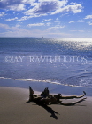 DOMINICAN REPUBLIC, North Coast, beach with tree trunk washed ashore, DR213JPL