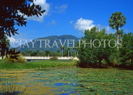 DOMINICAN REPUBLIC, North Coast, near Playa Dorada, Water Lily pond and scenery, DR401JPL