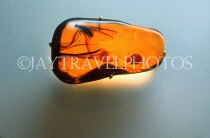 DOMINICAN REPUBLIC, Puerto Plata, Amber Museum, insect trapped in Amber, DR423JPL