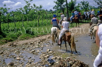 DOMINICAN REPUBLIC, countryside, tourists pony trekking, DR224JPL