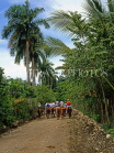 DOMINICAN REPUBLIC, countryside, tourists pony trekking, DR248JPL