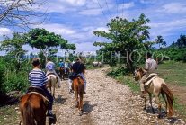 DOMINICAN REPUBLIC, countryside, tourists pony trekking, DR310JPL