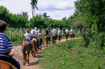 DOMINICAN REPUBLIC, countryside, tourists pony trekking, DR311JPL