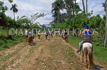DOMINICAN REPUBLIC, countryside, tourists pony trekking, DR430JPL