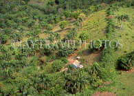 DOMINICAN REPUBLIC, countryside view, tropical vegetation, DR390JPL