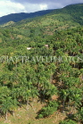 DOMINICAN REPUBLIC, countryside view, tropical vegetation, DR461JPL